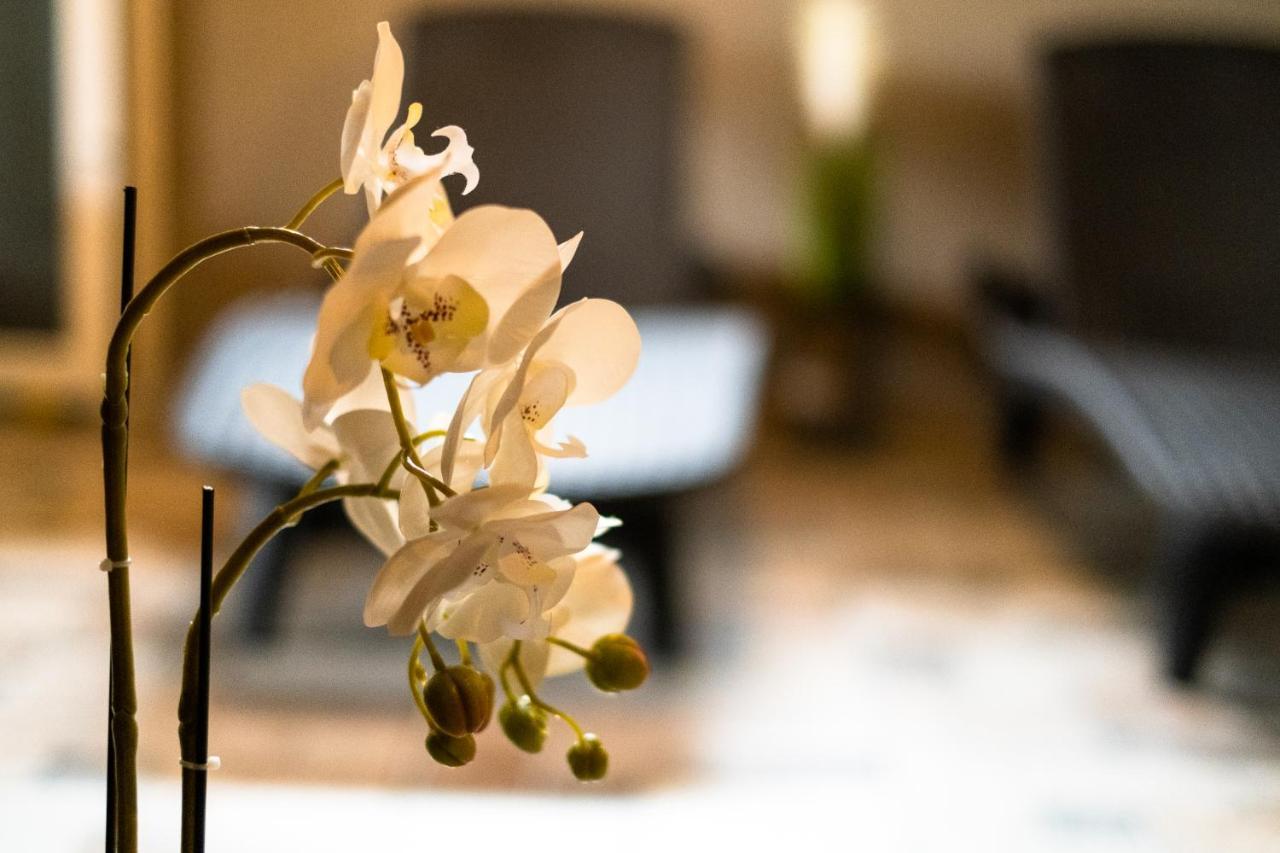 Villa Pino Velingrad Ngoại thất bức ảnh