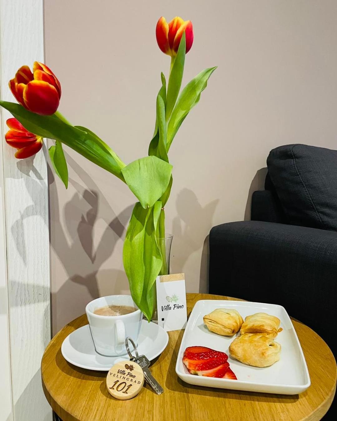 Villa Pino Velingrad Ngoại thất bức ảnh